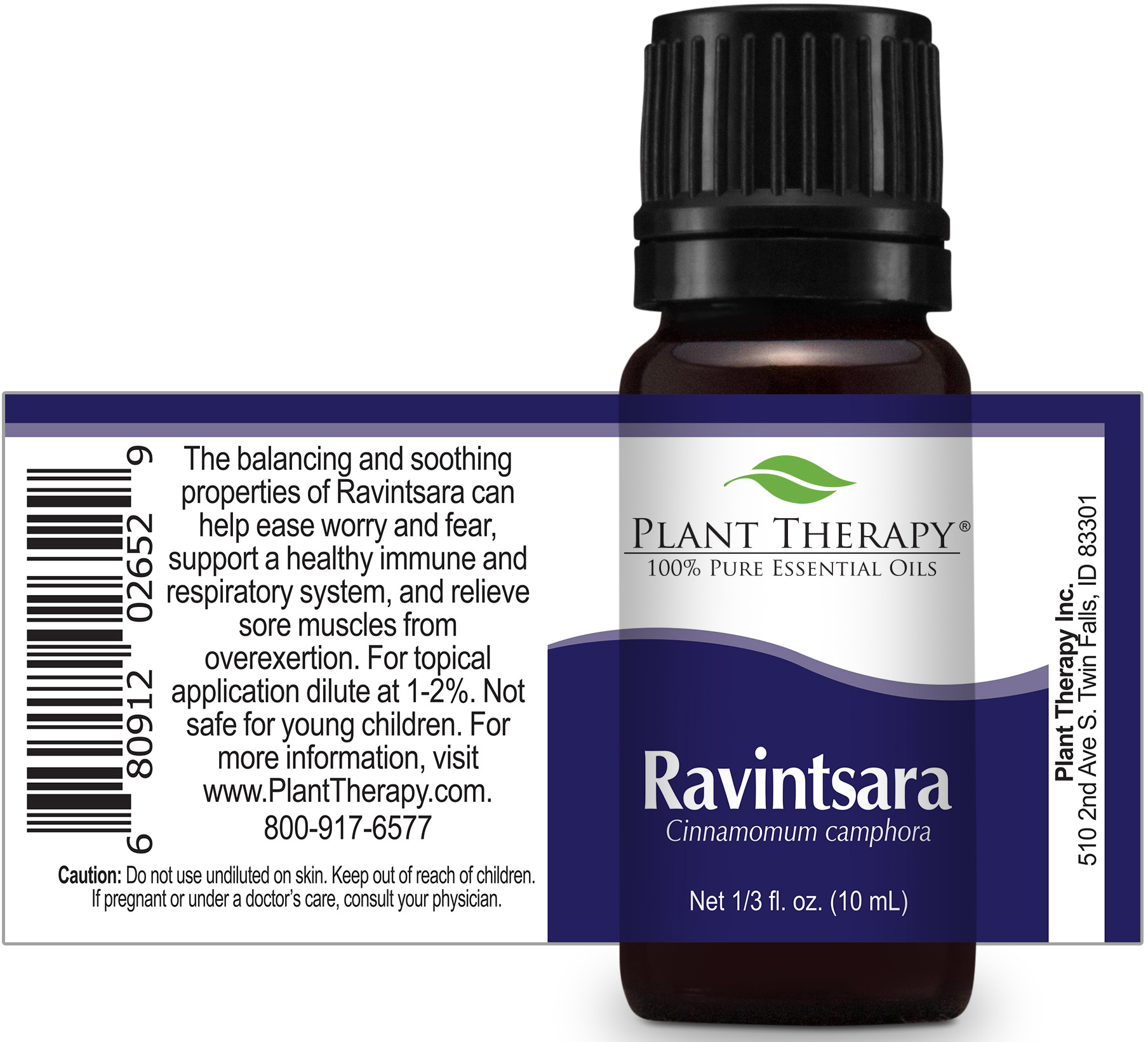 Plant Therapy Ravintsara Essential Oil 100 Pure eBay
